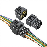 Connecteur étanche automobile 12 broches IP67 en laiton et ABS FW-C-12M/F-B DJ7121Y-2.3-11/21 pour faisceau de câbles Hall pour UHF PCB RF FPC