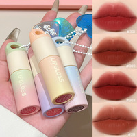 En stock – Tubes de brillant à lèvres vides 4 ml 5 ml, flacon dégradé givré rose jaune, grand applicateur, conteneur de baume à lèvres, porte-clés DIY