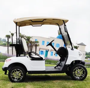 Bedrijfswagen Energie Nieuwe Elektrische Luxe Elektrische Lithium 2-zits Golfkar
