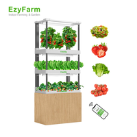 Système hydroponique de bureau pour légumes verts et herbes taille compacte