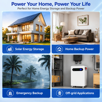 Batería Inteligente LED de 16 kWh, 51.2 V, 314 Ah, LiFePO4, Apilable, Paquete de Almacenamiento de Energía, Diseñada para un Sistema de Energía de Respaldo (ESS) Confiable para el Hogar
