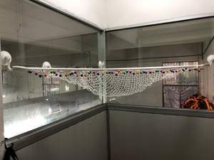 Giocattolo per bambini hangign parete Organizer amaca Pet Pet Net animale di pezza - Product Image 6