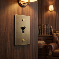 Prise murale USB Type-C Niva American Standard avec interrupteur en laiton moleté, personnalisable, multifonction, panneau en laiton de type 118