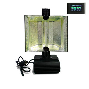 สวนในร่มราคาถูกปลูกได้สองปลาย1000W HPS DE Grow Light LED ไม่สามารถเปลี่ยนได้ - Product Image 1