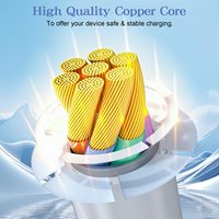 Cable de Carga Rápida USB-C de 1M con Revestimiento de TPE y Conductor de Cobre Puro para Teléfono 17 Max Pro y Computadora, Apto para Uso en Interiores y Exteriores