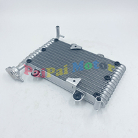 Bashan 200CC 250CC ATV Quad radiateur pour Bashan 200-250CC ATV