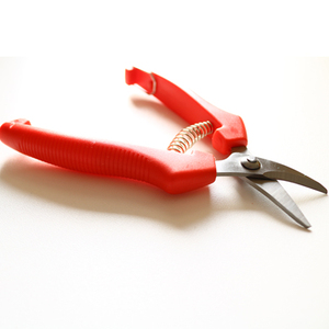 กรรไกรตัดแต่งกิ่งสเตนเลสสำหรับเก็บผลไม้องุ่นกิ่งไม้ตรงจากโรงงาน - Product Image 6