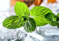 Menthol naturel à 99 % de pureté, qualité alimentaire, cristaux de menthol, extrait de menthe poivrée, matière première