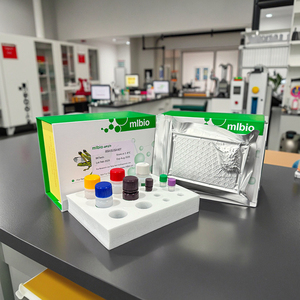 Tùy chỉnh IL-33 Elisa Kit cho con người sử dụng chemiluminescent Enzyme-liên kết immunosorbent khảo nghiệm - Product Image 2