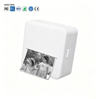 Printer Thermal Mini X6 Cetak Dokumen Web 800mAh BT Nirkabel 200DPI Terhubung Aplikasi OEM Logo Kustom Grosir Pabrik