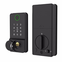 Cylindre de serrure intelligent de haute sécurité sans poignée pour la maison en alliage d'aluminium Cerradura Inteligente Candado Serrure De Porte Cloud Card