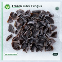 Hongos Negros Congelados Orgánicos de China, Hongos Comestibles Saludables de Alta Calidad, Secos, Congelados Individualmente (IQF), 10 kg
