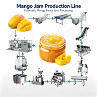 ORME Multifunctionele Fruitjam Productielijn Rode Dadel Peer Mango Ananas Appel Druif Kiwi Graanachtige Jam Sauzenmachine