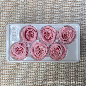 ดอกกุหลาบคงรูปขนาด 5-6 ซม. สำหรับตกแต่ง - Product Image 6