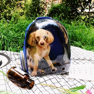 Bolsa de Transporte para Mascotas, Cápsula Transparente, Portátil para Viajes al Aire Libre, Mochila de Transporte para Mascotas, Gran Capacidad, Resistente - Product Image 2