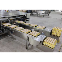 Machine de tri et d'emballage automatique d'œufs en acier inoxydable SUS304 haute capacité, contrôle par écran tactile, production de 72000 pièces/heure, puissance maximale de 4,0 kW