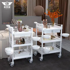 China Manufacturer Wholesale High Quality Trolley ABS Plastic Beauty Salon Cart Beauty Spa Trolley With Drawer