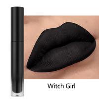 Gloss à lèvres liquide mat style occidental, non desséchant, résistant au transfert, vente en gros