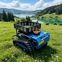 Robot tondeuse tout-terrain à chenilles, à essence, à braquage zéro, télécommandé, pour l'entretien des fermes, vergers et pentes