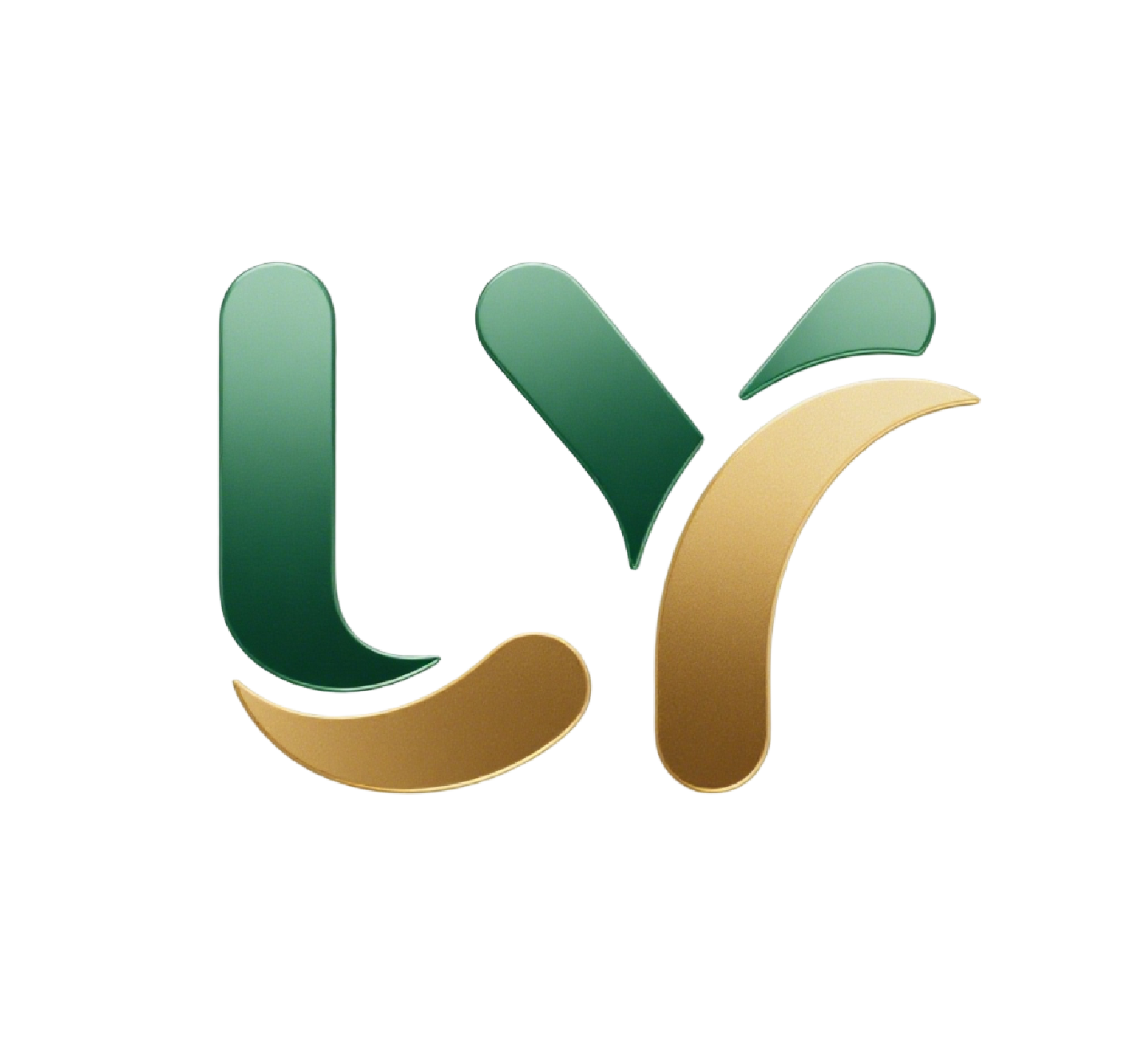 Shenzhen Laiyi Technology Co., Ltd. logo