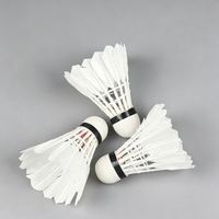 Volants de badminton en plumes d'oie haute vitesse, durables pour l'entraînement en extérieur, balles de badminton à vol stable pour la pratique sportive
