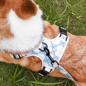 <span class=keywords><strong>Collar</strong></span> Cámara resplandor galgo collares matón arnés de perro cubano <span class=keywords><strong>nylon</strong></span> liso Premium en la correa de perro oscura - Product Image 5