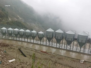 Equipo de cría de ganado automatizado Nueva condición Torre de alimentación de granja de cerdos Hoja galvanizada Torre de almacenamiento de alimentación de cerda 1 año de garantía - Product Image 4