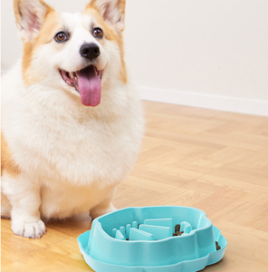 2025 <span class=keywords><strong>New</strong></span> <span class=keywords><strong>Arrival</strong></span> Pet Slow Feeder Bowl para Cães Gatos Anti-Asfixia e Anti-Tip Pet Food Bowl para cachorro e gatinho - Product Image 1