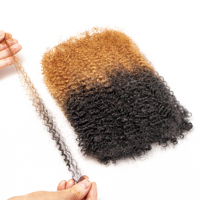Extensions de Cheveux Humains 100% Naturels Afro Kinky en Vrac Couleur Ombrée pour Tresses et Crochets Dreadlocks