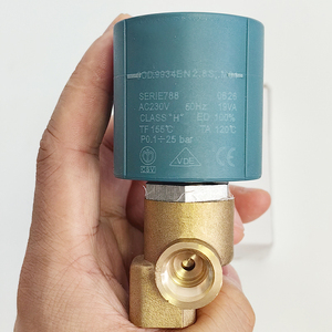 Válvula Solenoide Piloto de Latón Ajustable de Flujo DL-6C/DL-6K 24VDC CEME para Máquina de Planchado Neumática RFS DL-6F AC220V - Product Image 2