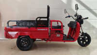 Tricycle utilitaire électrique Chongqing Cheetah Power ATV - 2026, 1000W, 3 roues