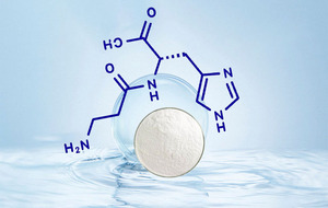 L-Carnosine Matière Première 99% Haute Pureté Qualité Cosmétique Anti-Glycation & Anti-Âge Approvisionnement Direct Usine Exportation Transfrontalière - Product Image 2