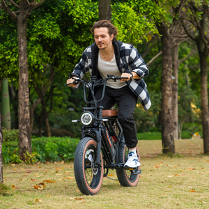 Vélo Électrique Urbain Style Rétro Autonomie 55 Mi Mode d'Accélération par Poignée Tournante avec Assistance au Pédalage - Product Image 5