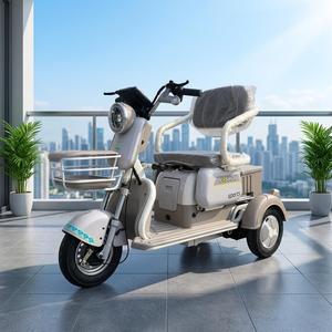 Heavy Duty 750W 48V 20Ah Buggy for Adult Outdoor Racing & Leisure - Product Image 4
