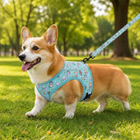 Ensemble Harnais et Laisse Réglables pour Chien avec Collier, Foulard, Nœud Papillon et Gilet de Sécurité – Idéal pour l'Entraînement et les Promenades en Extérieur pour Chiots et Chiens de Petite et Moyenne Taille en Polyester