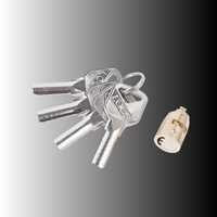 Lot personnalisé d'usine doit être sûr cadenas bon marché de haute qualité Serrures à cylindre en laiton à clé atomique