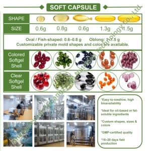 Complément alimentaire en gélules d'huile de poisson oméga-3 en marque privée OEM pour la santé cardiovasculaire, la santé oculaire scientifique, la santé métabolique et immunitaire - Product Image 5