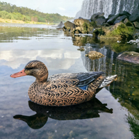 Leurre de canard en EVA à surface entièrement floquée, réaliste en 3D, pour la chasse aux oiseaux aquatiques, portable, pour le champ et l'extérieur, équipement de simulation de chasse