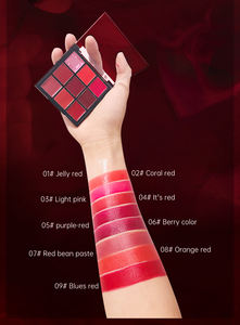 Paleta de pintalabios de 9 colores con pintalabios mate desnudo Etiqueta Privada cosméticos con su propio logotipo crema maquillaje Mineral - Product Image 2