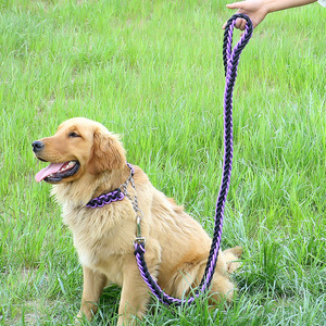 Correa y <span class=keywords><strong>Collar</strong></span> para Perro Medianos y Grandes QUCHONPET, Personalizados, Acolchados, de Nailon Trenzado, con Cadena de Metal - Product Image 6