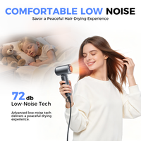 Sèche-cheveux ionique infrarouge lointain haute vitesse Binwang |   Moteur BLDC 1400W 110 000 tr/min |   Système intelligent de tension universelle pour hôtels et foyers
