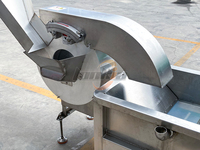 Kleine schaal 50-150kg/uur semi-automatische frietmachine productielijn voor verse en diepvriesfrieten