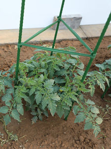 Cage de soutien pour plantes de tomates, structure grimpante en fer anti-chute, piquet multifonctionnel pour légumes, balcon et fleurs - Product Image 3
