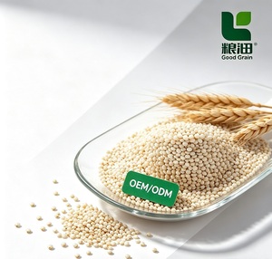 <span class=keywords><strong>Quinoa</strong></span> Bianca di Alta Qualità in Vendita, <span class=keywords><strong>Prezzo</strong></span> Competitivo, Biologica per Uso Alimentare, Vendita all'<span class=keywords><strong>Ingrosso</strong></span> - Product Image 6