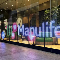 Película LED Transparente para Ventanas P8, Ligera, 80% de Transparencia, Ahorro de Energía, Pantalla para Publicidad en Escaparates
