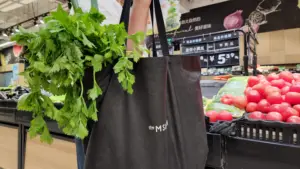 कस्टम किराना पुन: प्रयोज्य फोल्डेबल शॉपिंग बैग कस्टम रंग टोट बैग लोगो के साथ फोल्डेबल सस्ते डिजाइन थोक गैर बुना बैग