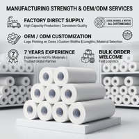 Papel de Transferencia Termoadhesivo para Pedrería, Papel de Posicionamiento para Prendas de Vestir, Rollo de Película de Transferencia de Patrones de Pedrería de 42 cm, Venta al por Mayor