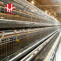 Équipement moderne pour ferme avicole Cage pour pondeuses pour élevage de volailles Cage automatique pour pondeuses de volailles pour l'Indonésie