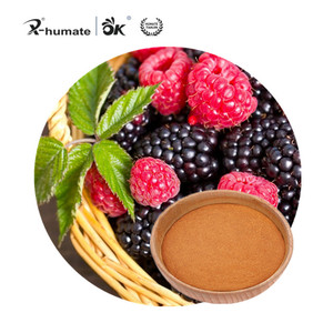 X-humate nông nghiệp nhà máy chất dinh dưỡng <span class=keywords><strong>Bio</strong></span> Fulvic axit 90% 70% 50% Phân bón hữu cơ - Product Image 4