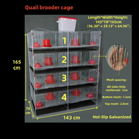 Cage à cailles anti-rouille avec cadre soudé renforcé, conçue pour les couvoirs commerciaux et les volières domestiques